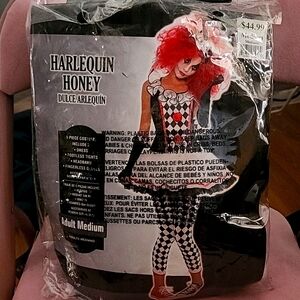 Harlequin Costume